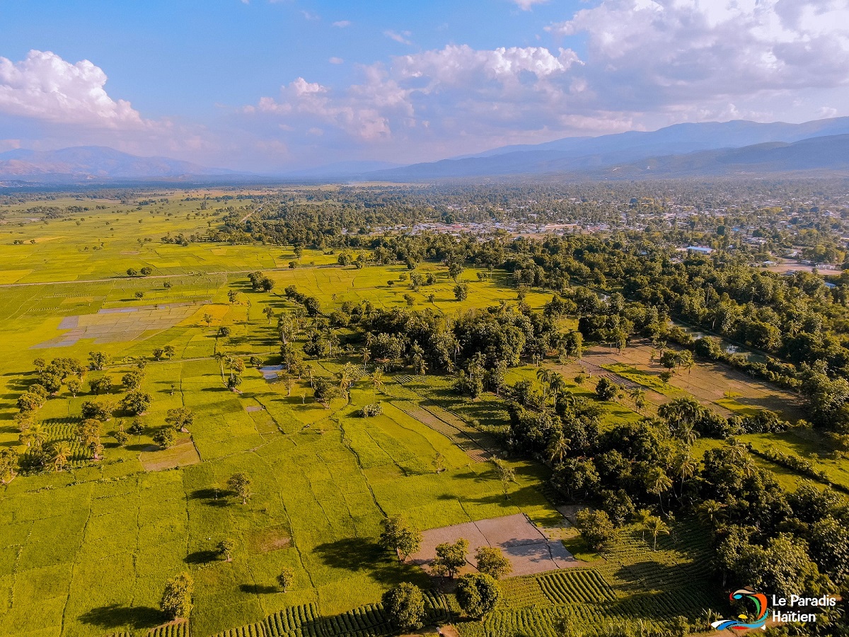 L’avenir de l’agriculture en Haïti